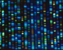 "Output from a DNA Sequencer" / National Genome Research Institute